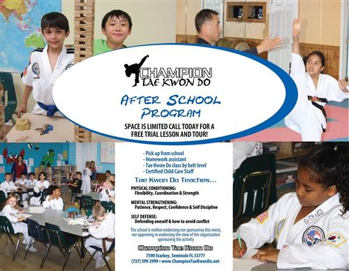 Champion Tae Kwon Do after school program. Call 727 399 2999.